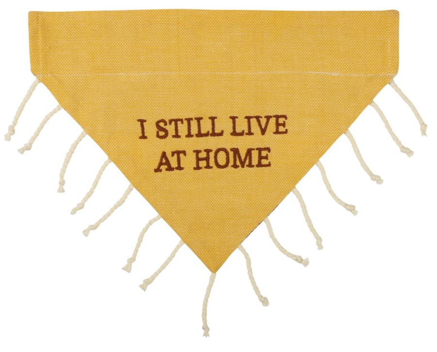 Slip-Over Collar Dog Bandana troublemaker