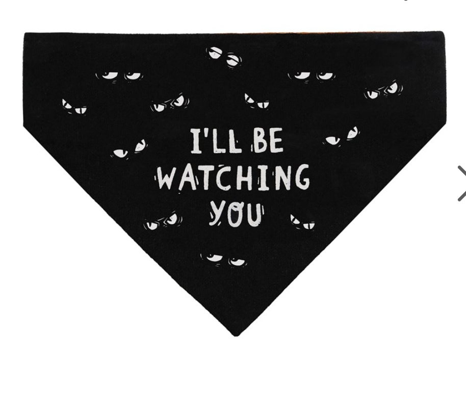 Slip-Over Collar Dog Bandana ill be watching you