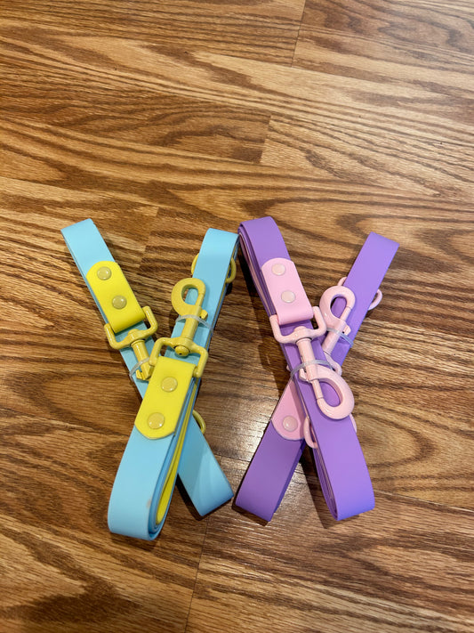 dog collar/leash