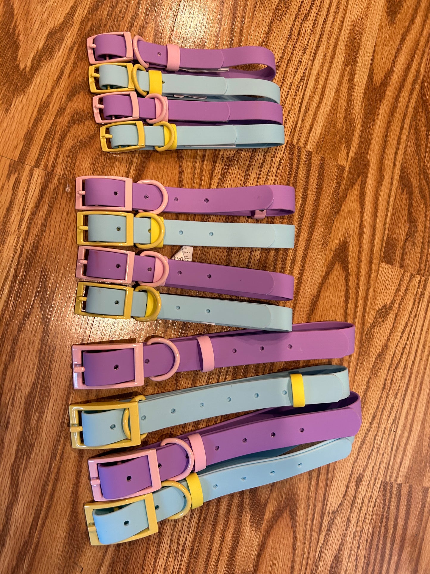 dog collar/leash